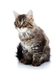 Similar image 5440408