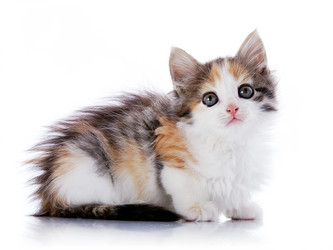 Similar image 5440412