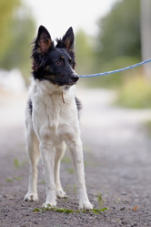 Similar image 5440416