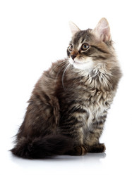 Similar image 5440419