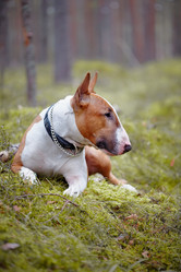 Similar image 5440421