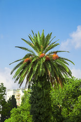 Similar image 5440478