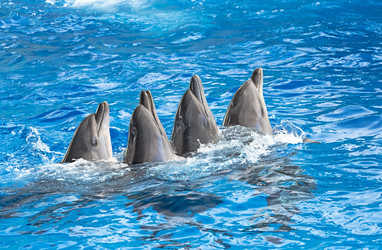 Similar image 5440480