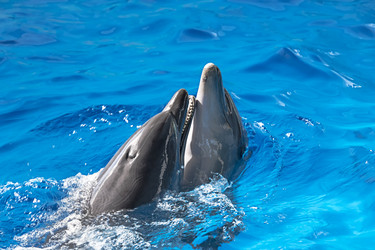 Similar image 5440481