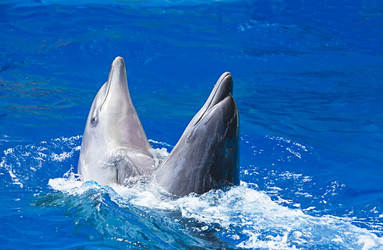 Similar image 5440482