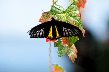 Similar image 5440559