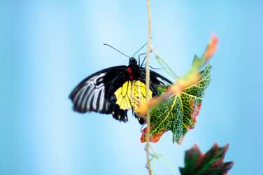 Similar image 5440560