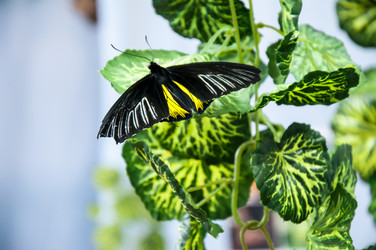 Similar image 5440561