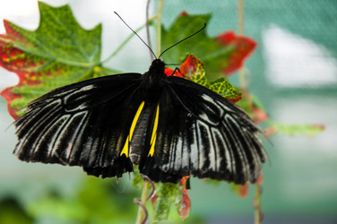 Similar image 5440567