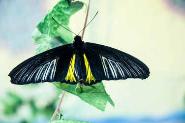 Similar image 5440569