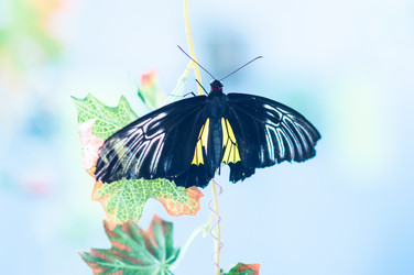 Similar image 5440572