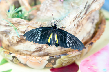 Similar image 5440574