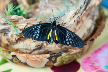 Similar image 5440577