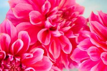 Similar image 5440590