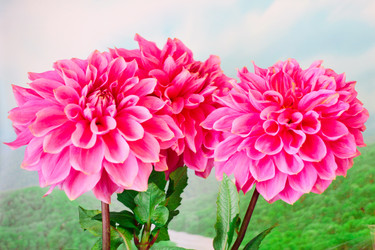 Similar image 5440591