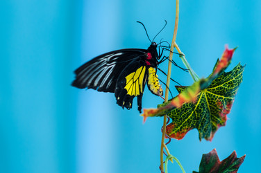 Similar image 5440596