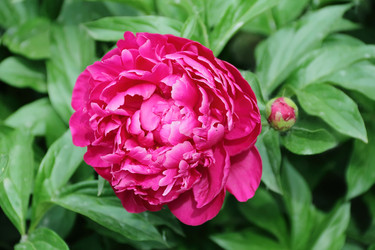 Similar image 5440680