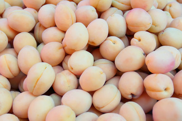 Similar image 5440703