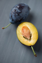 Similar image 5440751