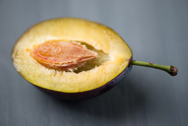 Similar image 5440752