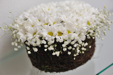 Similar image 5440779