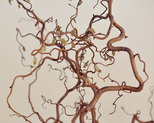 Similar image 5440780