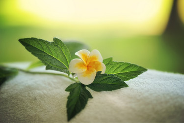 Similar image 5440782