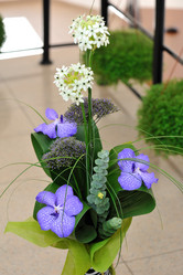 Similar image 5440807