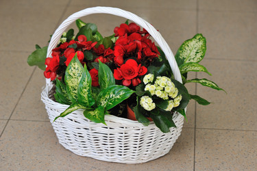 Similar image 5440808