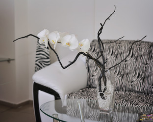 Similar image 5440813