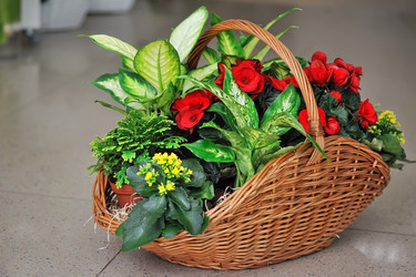 Similar image 5440816