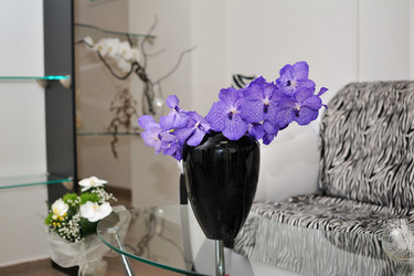 Similar image 5440913