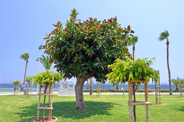 Similar image 5440984