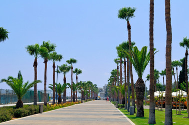 Similar image 5440985