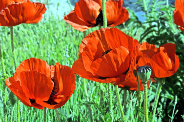 Similar image 5441012