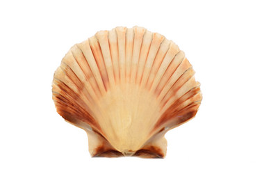 Similar image 5441014