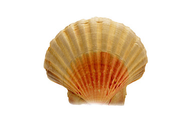 Similar image 5441016