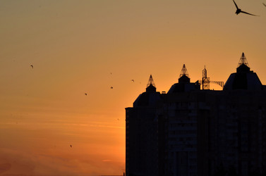 Similar image 5441028