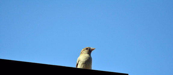 Similar image 5441033