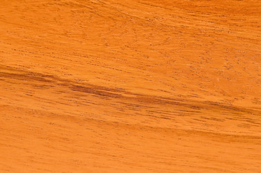 Similar image 5441034