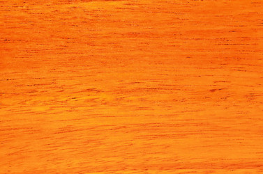 Similar image 5441037