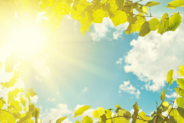 Similar image 5441399