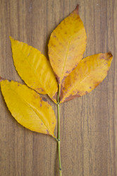 Similar image 5441699