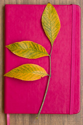 Similar image 5441700