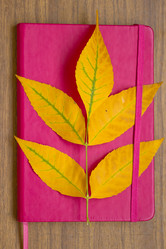 Similar image 5441701