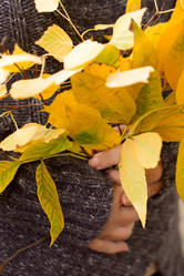 Similar image 5441703