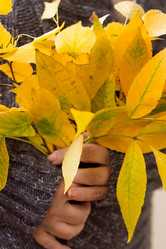 Similar image 5441704