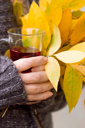 Similar image 5441717