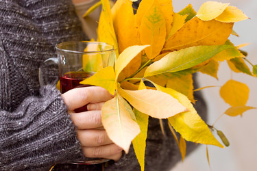 Similar image 5441745