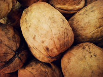 Similar image 5441885